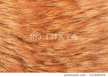 Natural fox fur macro photo as a background. 132886830