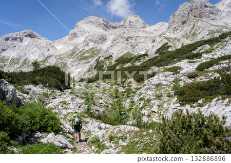 Hiker walking uphill towards rocky ridge in green alpine valley, Triglav National Park, Slovenia 132886896