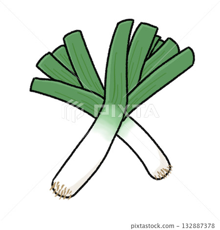 波洛韭菜 132887378