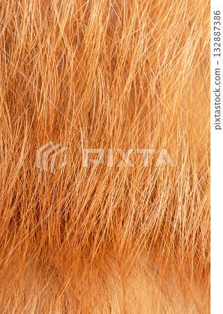 Natural fox fur macro photo as a background. Fur vertical background. 132887386