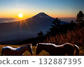在富士山腳下的牧場上，一位母親和她的馬兒遙遙相對，迎接一年中的第一縷陽光。 132887395