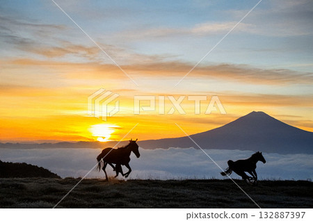 Silhouette of two horses running through a ranch overlooking Mount Fuji at the first sunrise of the year 132887397