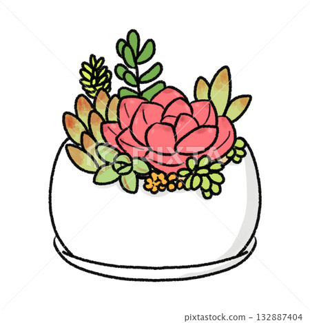 Planting succulent plants 132887404