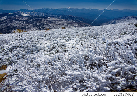 View of frost-covered trees, Ayame-daira and Nikko-Shirane on the way from Mt. Shibutsu to Ozegahara 132887468