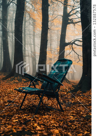 Empty Old Chair Left In The Woods During Autumn Empty Old Chair Left In The Woods During Autumn 132887578