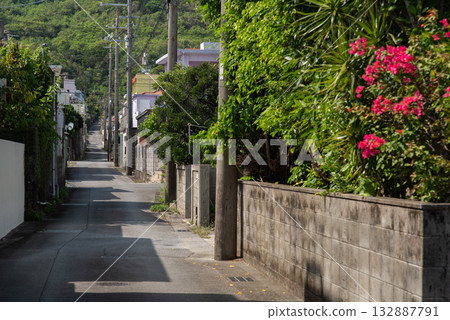 A rural back alley with bougainvillea blooming on a clear day with mountains ahead and the shadow of a building on the road A rural back alley with bougainvillea blooming on a clear day with mountains ahead and the shadow of a building on the road 132887791