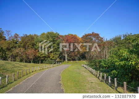 秋日公園靜謐的景色，映襯著藍天。 132887970