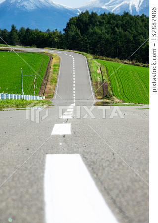 北海道美瑛市山坡上一條令人心曠神怡的道路 132887986