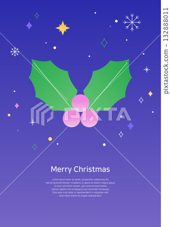 Vector illustration of holly leaves. 132888011