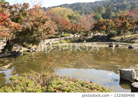 Kyoto Maruyama Park where autumn leaves have begun to fall 132888490