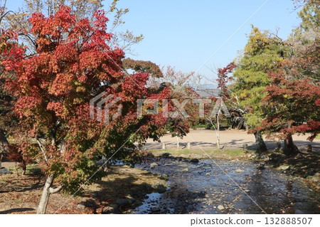Kyoto Maruyama Park where autumn leaves have begun to fall 132888507