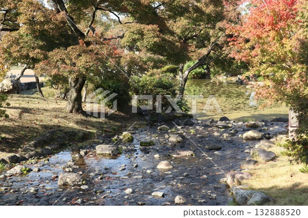 Kyoto Maruyama Park where autumn leaves have begun to fall Kyoto Maruyama Park where autumn leaves have begun to fall 132888520