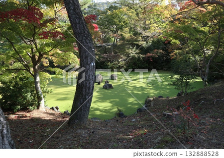 Kyoto Maruyama Park where autumn leaves have begun to fall Kyoto Maruyama Park where autumn leaves have begun to fall 132888528
