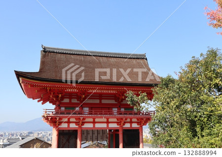 Autumn leaves begin to fall at Kiyomizu-dera Temple in Kyoto Autumn leaves begin to fall at Kiyomizu-dera Temple in Kyoto 132888994