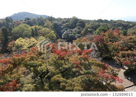 京都清水寺的秋葉開始飄落 京都清水寺的秋葉開始飄落 132889013