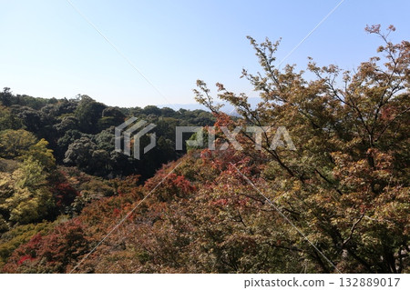 Autumn leaves begin to fall at Kiyomizu-dera Temple in Kyoto Autumn leaves begin to fall at Kiyomizu-dera Temple in Kyoto 132889017