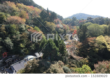 京都清水寺的秋葉開始飄落 京都清水寺的秋葉開始飄落 132889020