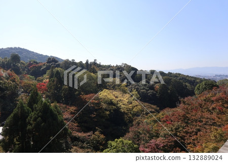 Autumn leaves begin to fall at Kiyomizu-dera Temple in Kyoto 132889024