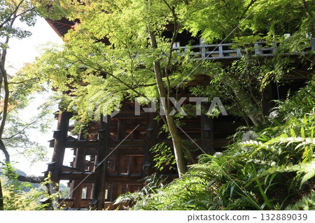 京都清水寺的秋葉開始飄落 京都清水寺的秋葉開始飄落 132889039