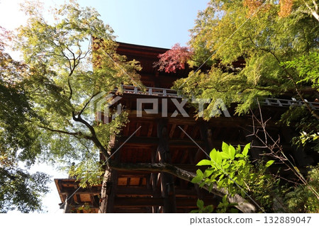 Autumn leaves begin to fall at Kiyomizu-dera Temple in Kyoto Autumn leaves begin to fall at Kiyomizu-dera Temple in Kyoto 132889047