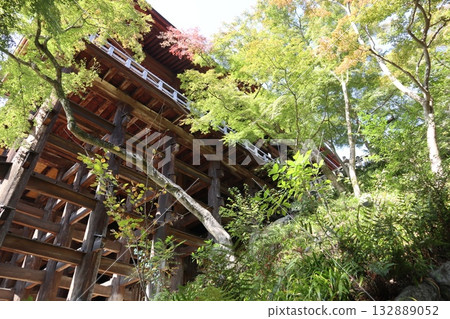 Autumn leaves begin to fall at Kiyomizu-dera Temple in Kyoto 132889052