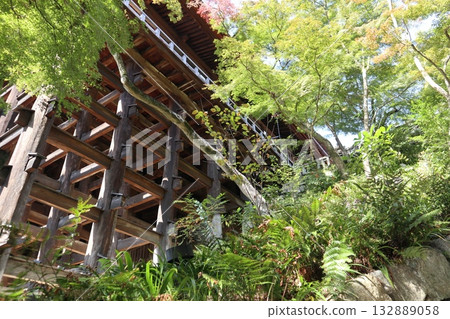 Autumn leaves begin to fall at Kiyomizu-dera Temple in Kyoto Autumn leaves begin to fall at Kiyomizu-dera Temple in Kyoto 132889058