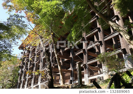 京都清水寺的秋葉開始飄落 京都清水寺的秋葉開始飄落 132889065