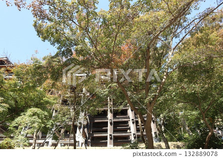 京都清水寺的秋葉開始飄落 132889078