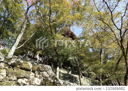 Autumn leaves begin to fall at Kiyomizu-dera Temple in Kyoto 132889082