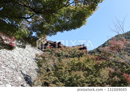 Autumn leaves begin to fall at Kiyomizu-dera Temple in Kyoto Autumn leaves begin to fall at Kiyomizu-dera Temple in Kyoto 132889085