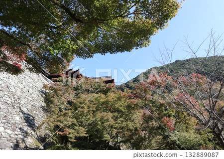 京都清水寺的秋葉開始飄落 京都清水寺的秋葉開始飄落 132889087