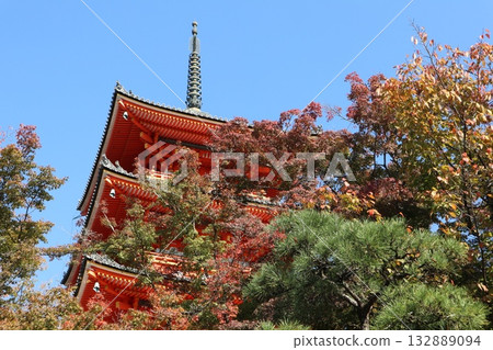 Autumn leaves begin to fall at Kiyomizu-dera Temple in Kyoto 132889094
