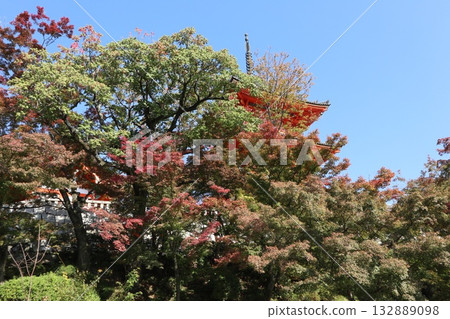 京都清水寺的秋葉開始飄落 京都清水寺的秋葉開始飄落 132889098