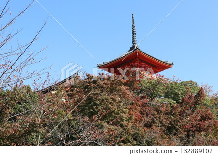 Autumn leaves begin to fall at Kiyomizu-dera Temple in Kyoto Autumn leaves begin to fall at Kiyomizu-dera Temple in Kyoto 132889102