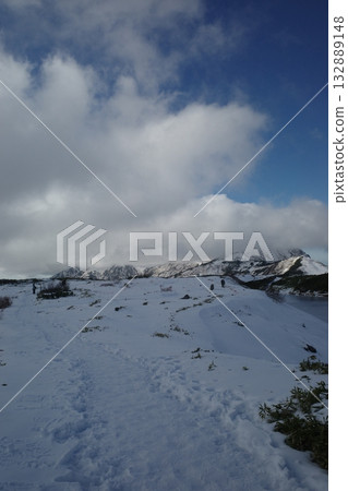 冬天陽光明媚的日子裡的雪景 132889148