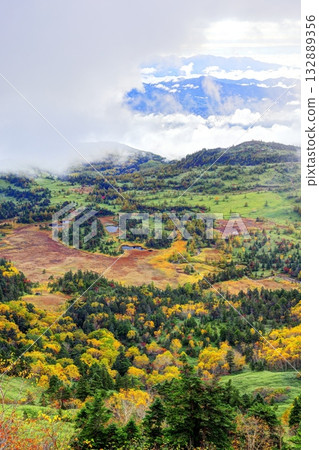 Autumn in the misty Yoshigahira Marsh 132889356