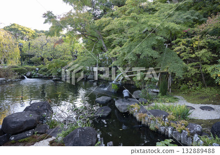 鎌倉長谷寺北條池 鎌倉長谷寺北條池 132889488