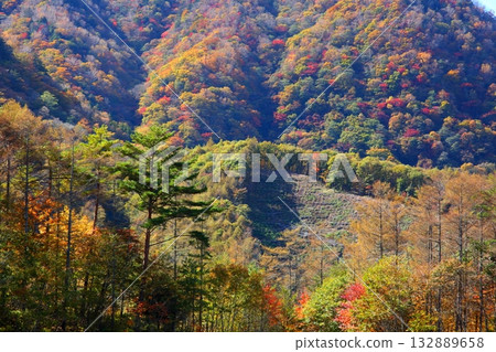 水垣山腳下的秋景 132889658