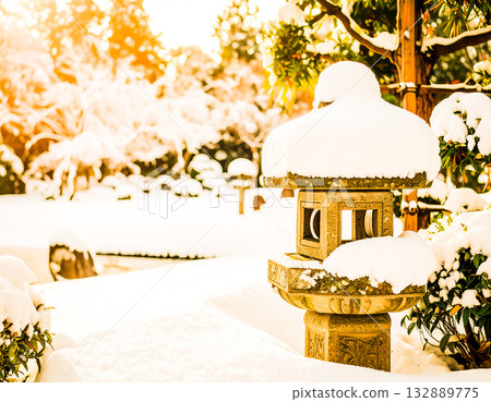 靜謐的雪燈和冬日花園的晨景 132889775