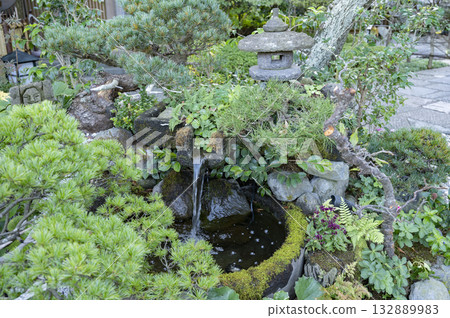 鎌倉長谷寺展望台櫻花廣場盆栽 132889983