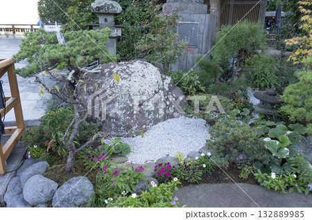 鎌倉長谷寺展望台櫻花廣場盆栽 132889985