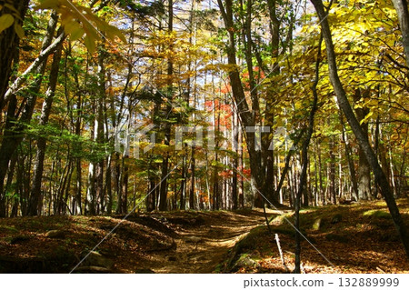 Autumn at the foot of Mt. Mizugaki Autumn at the foot of Mt. Mizugaki 132889999