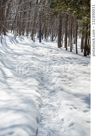 Path through the snow in a winter forest 132890031
