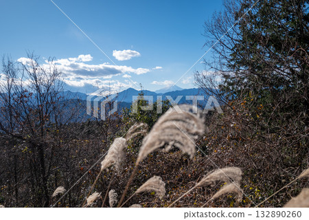 高尾地區穿越,東京 高尾地區穿越,東京 132890260