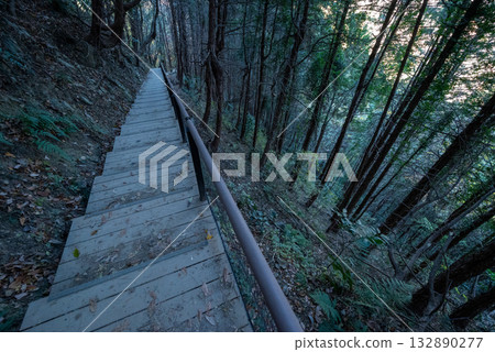 高尾地區穿越，東京 132890277