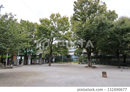 Scenery of Taito City Yoshiwara Park Scenery of Taito City Yoshiwara Park 132890677