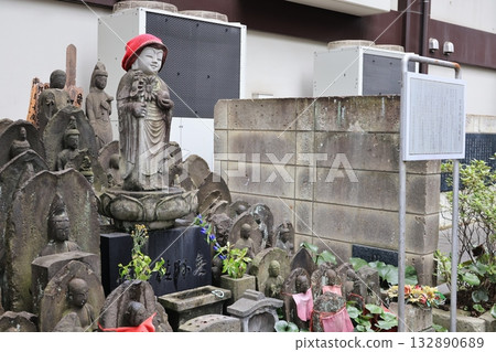 東京荒川區常觀寺景色 東京荒川區常觀寺景色 132890689