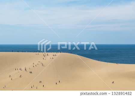 鳥取沙丘,一片擁有美麗風蝕波紋的沙灘 鳥取沙丘,一片擁有美麗風蝕波紋的沙灘 132891482