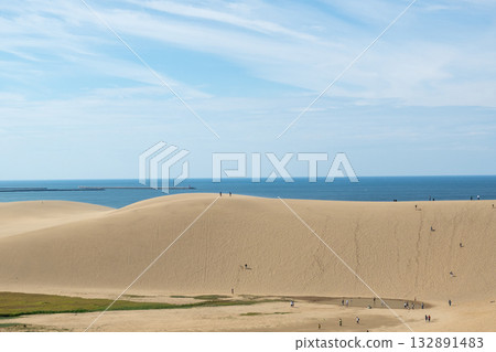 鳥取沙丘，一片擁有美麗風蝕波紋的沙灘 132891483