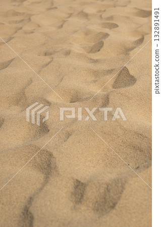 鳥取沙丘，一片擁有美麗風蝕波紋的沙灘 132891491